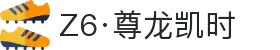 Z6·尊龙凯时「中国」官方网站